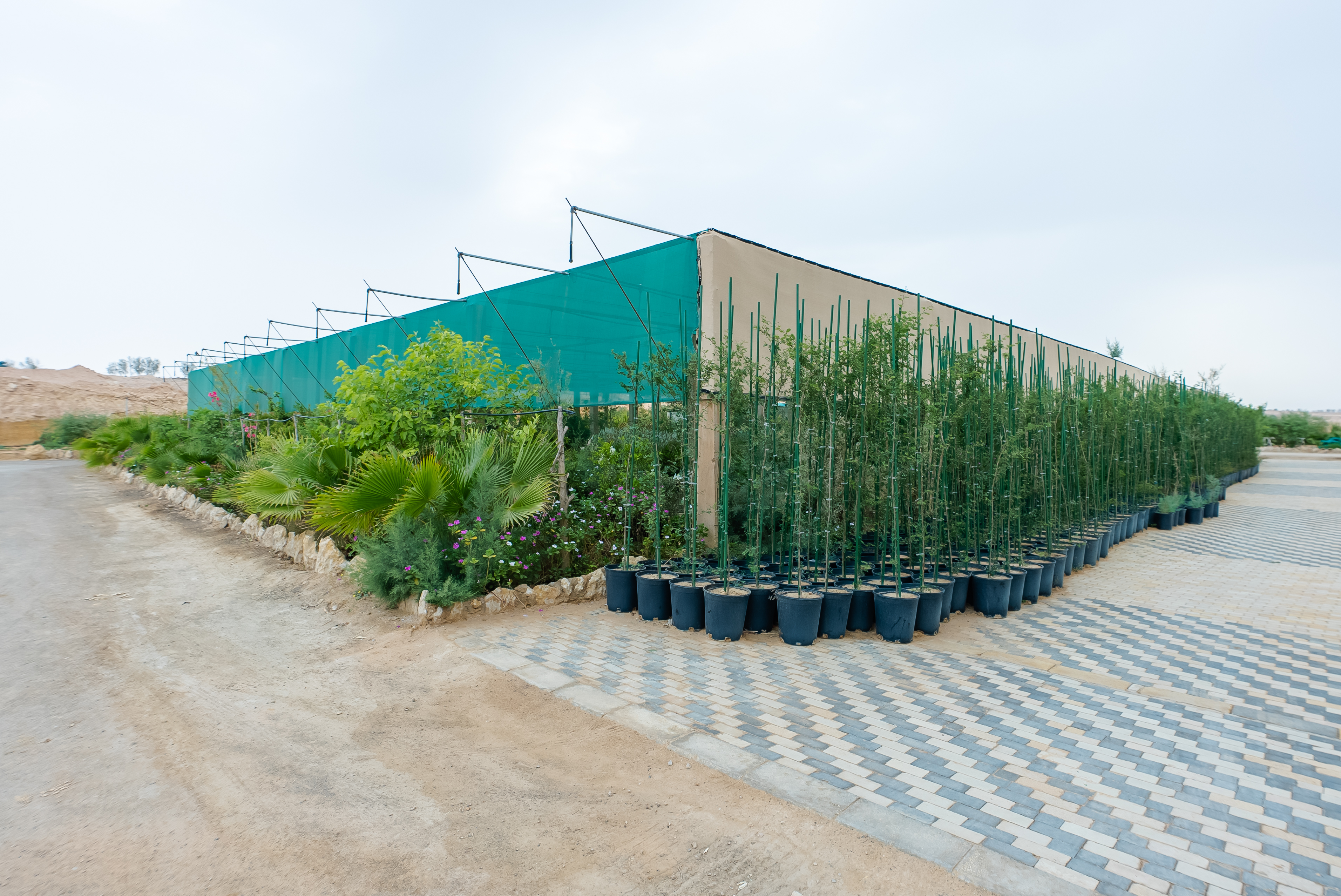 UNISCAPE nursery aerial view