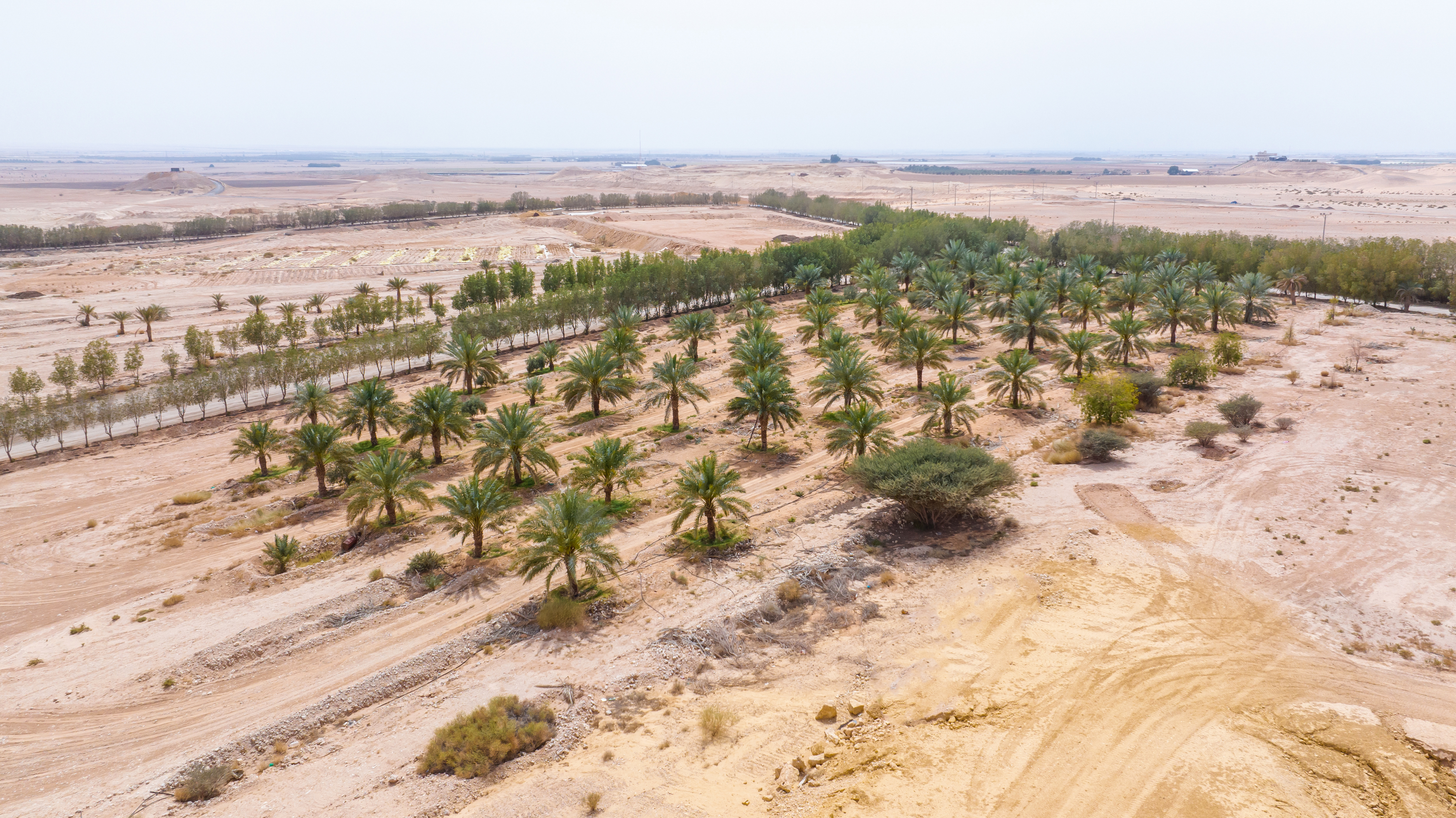 UNISCAPE total nursery area aerial view