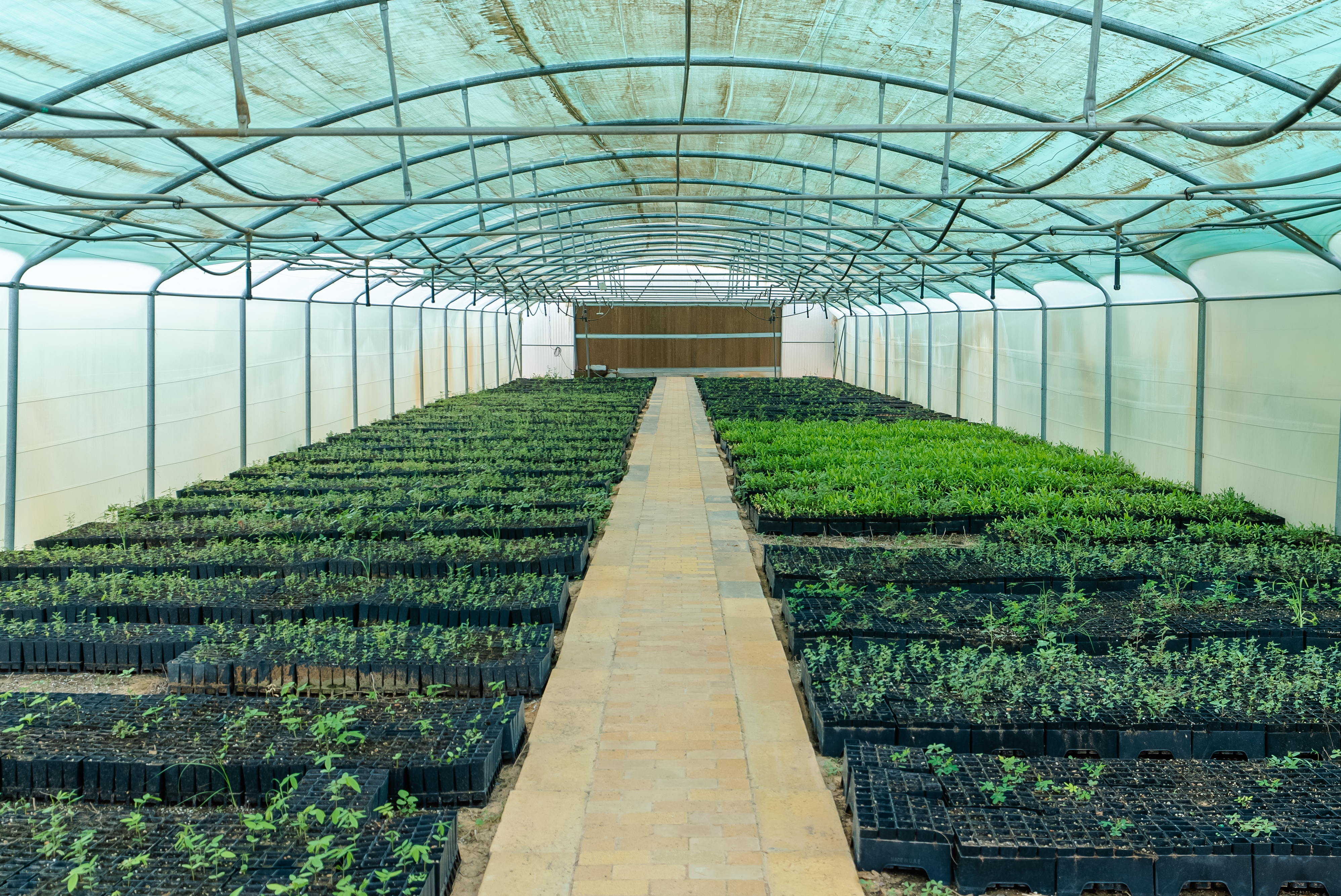 Water saving irrigation systems at UNISCAPE nursery