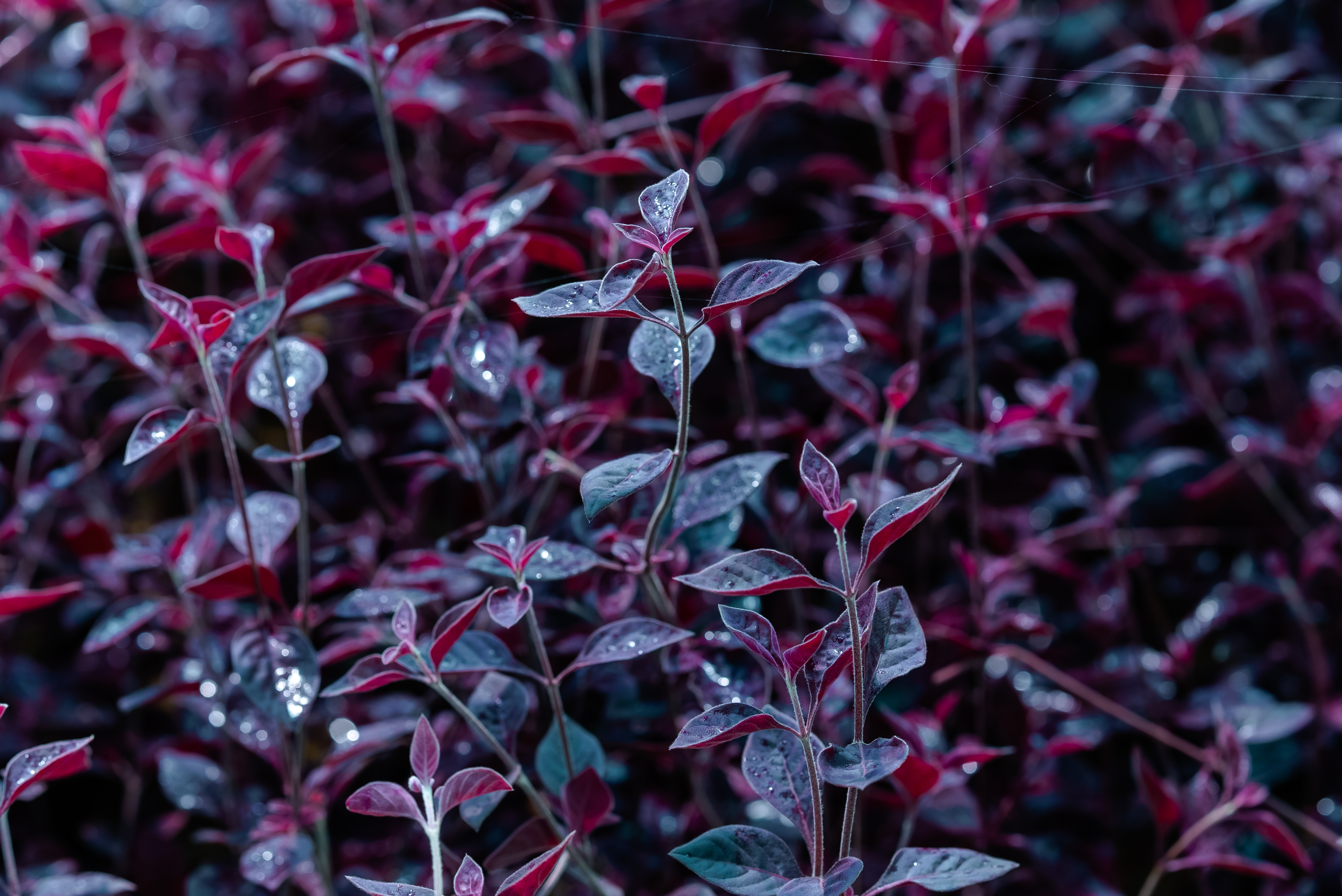 UNISCAPE landscape project