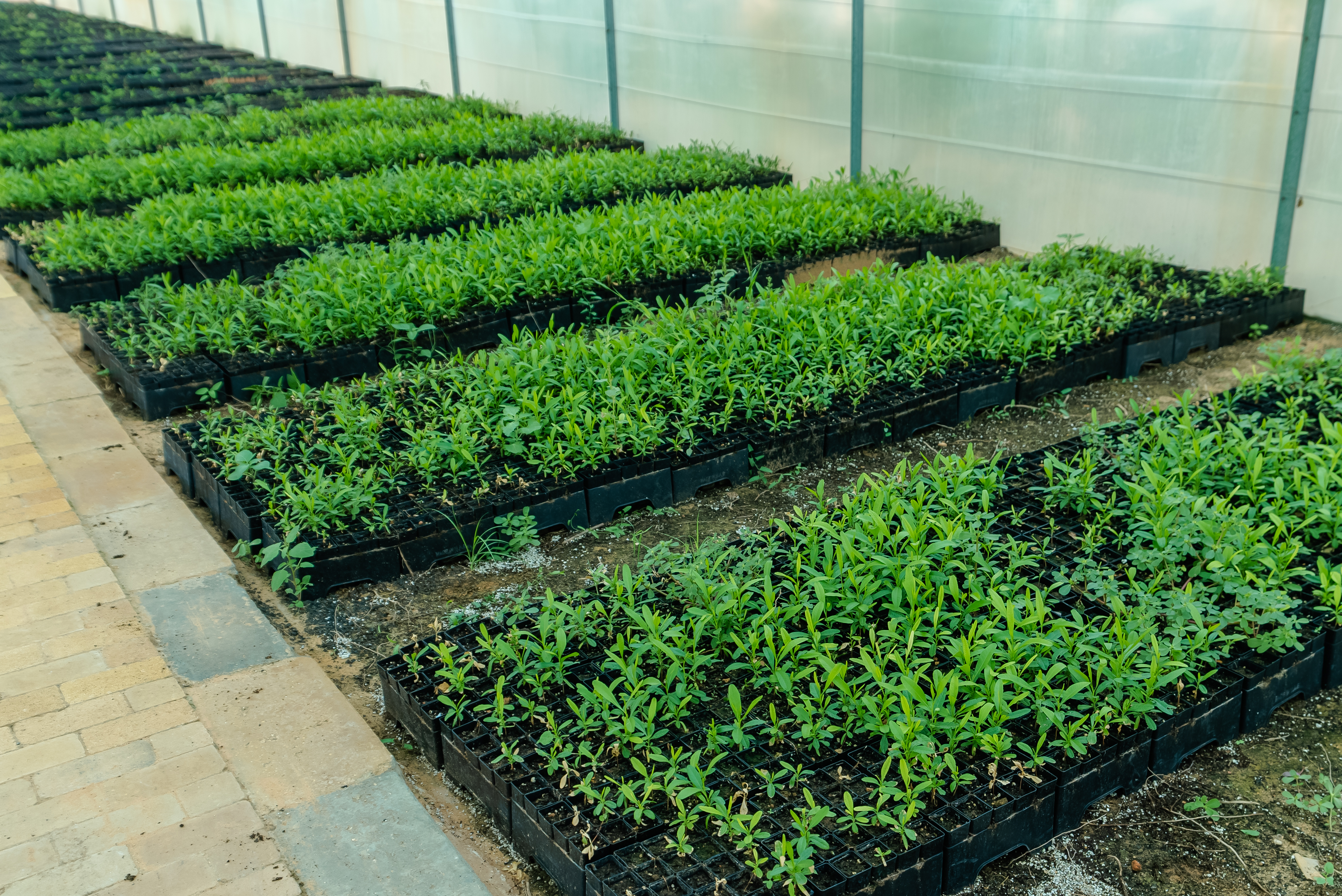 UNISCAPE landscape project