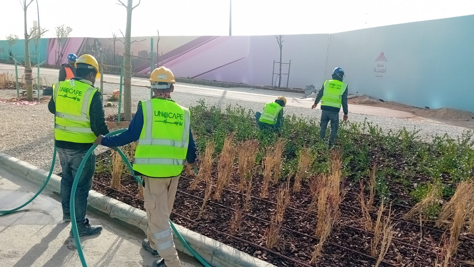 Landscape and Design